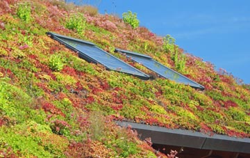 Ugley Green living roof systems